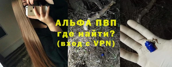 мет Алексин